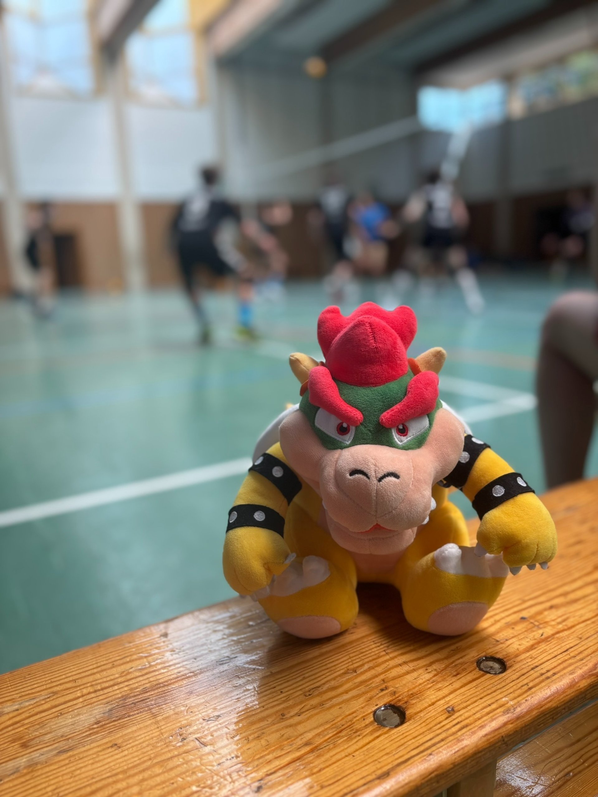 Plüschfigur auf einer Bank am Spielfeldrand in der Sporthalle
